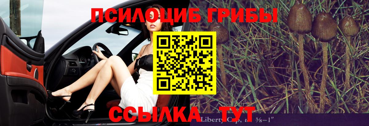 Галлюциногенные грибы прущие грибы  Вход с VPN  Звенигород 